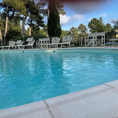 Tuscany Relax H&H - Helly House Apartman San Vivaldo Kültér fotó